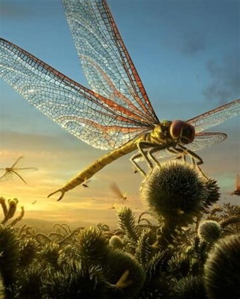 giant carboniferous insects